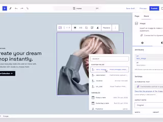 WordPress 6.6
