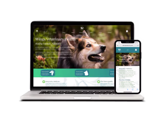 Brand Creation & Web Design/Development