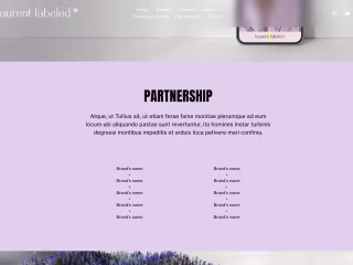 ✦ WEBDESIGN ✦