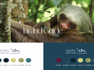 Brand Guide | Waking Dreams Costa Rica