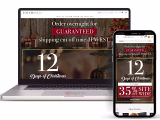 Shopify Custom Devloment 