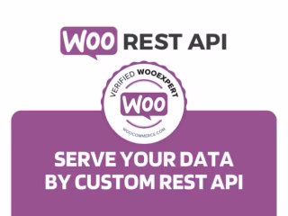 Professional API integration service for woocommrce