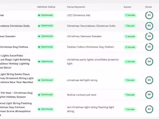 Search engine optimazation (SEO)