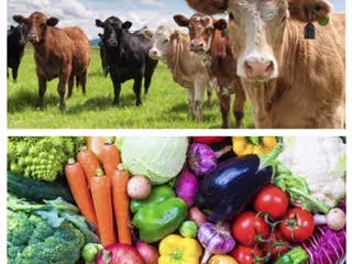 How about if I told you the single biggest way we can reduce ou…