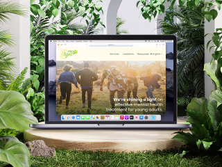 Branding Georgia Light, a Resource for Mental Health Recovery
