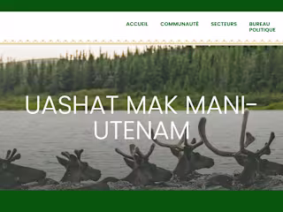Website Restructuring (FR CAN) for ITUM