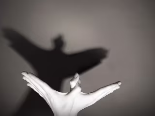 THE SILENT SHADOWS