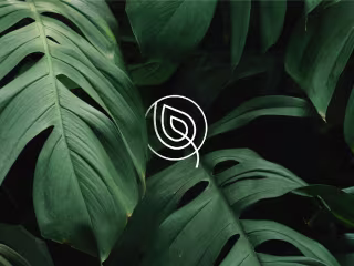 Nisarg-ashray branding