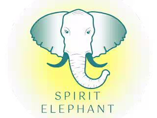 Logo Redesign: Spirit Elephant