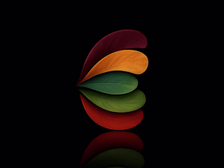MGC BLOOM FEST Complete Brand Identity