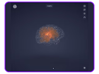 3D Brain Animations | Web app
