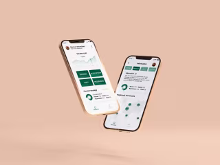 Everfin Revolution: Designing Tomorrow's Pension Landscape