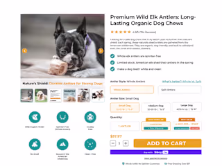 Responsive E-Commerce Product Page Design