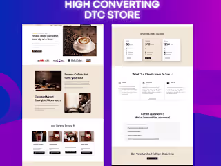 High converting DTC store