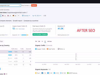 SEO Mastery for E-commerce Success