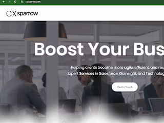 CX Sparrow: Salesforce & Gainsight Services l Business Solutions