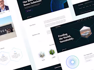 Red Sea - Web Design