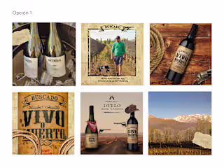 Social Media Design Projects