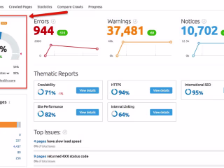 Seo Rank in first page