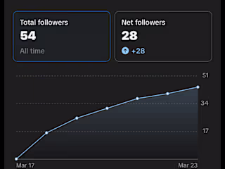 Social Media Manager For A Music Artist