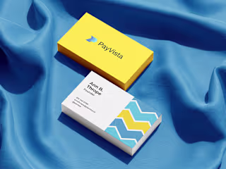 PayVista Fintech Branding 