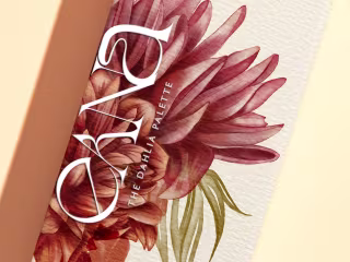 Eana Beauty | Packing Design & Brand Identity