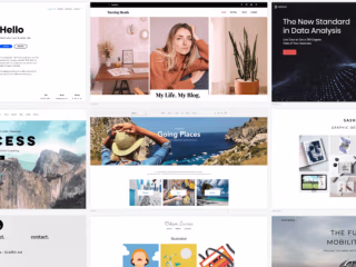 Web Development Excellence: Crafting Your Digital Presence