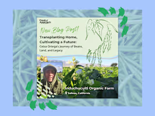 🫛Transplanting Home, Cultivating a Future | Blog & Interview
