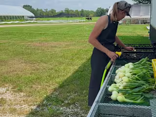 Harvesting Community: Discover the Heart Behind Your Food 