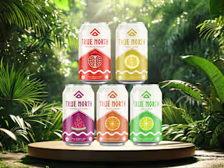True North mineral water :: Behance