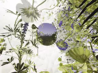 The Bio-Threshold