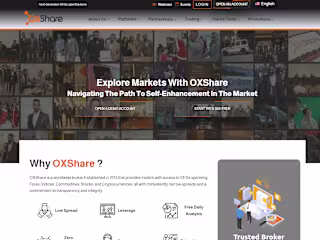 Forex Website Development