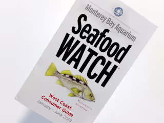 Seafood Watch