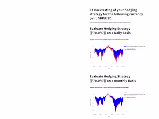 FX Risk Assessment & Management Model