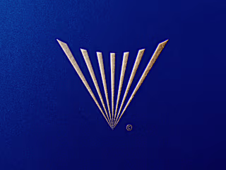 Vouchlux Brand Identity