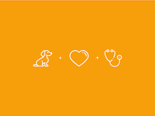 Veterinary Clinic Brand Visual Identity