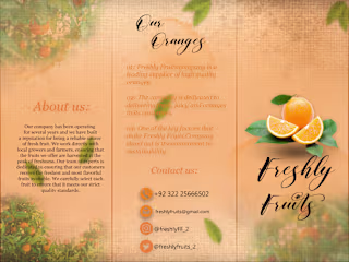 Try Fold Business Brouchure.