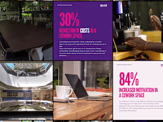 Indigo: Brand Development