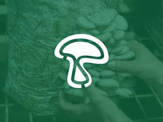 LamBrella Mushroom Farm - Logo and Branding Project
