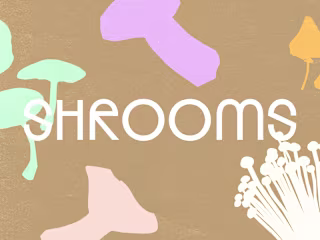🍄 SHROOMS