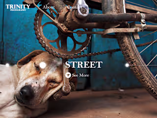 Trinity Photography - Website Design :: Behance