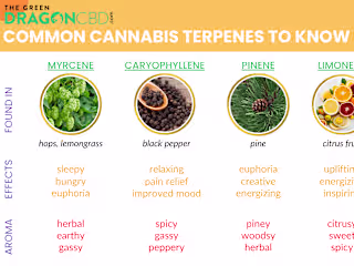 Terpene Masterlist