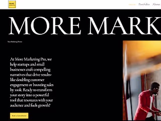More Marketing Pro| Online Marketing Agency