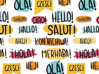 translator