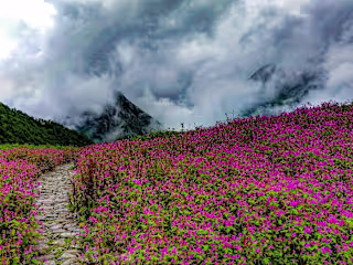 Valley of Flowers Trek 