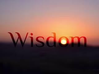 How to become a wise sage