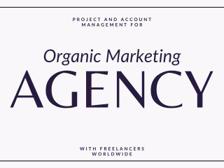 Lead Project Manager for Marketing Agency