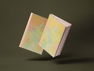 Reimagining The Metamorphosis