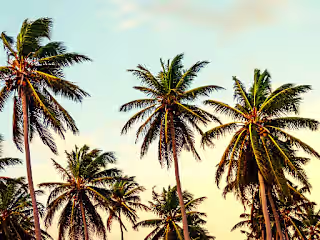 Caribbean Travel Guide | TravelBugz