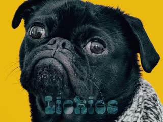 Lickies Dog Ice Cream Branding